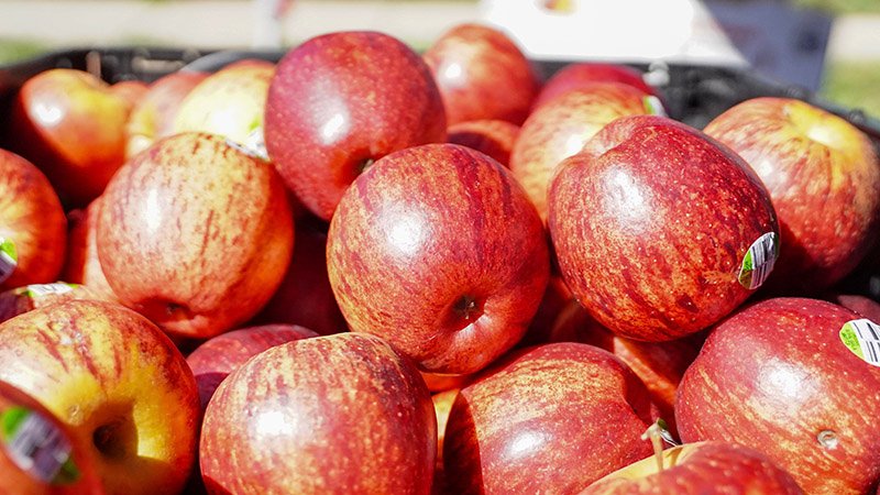 Metro Caring volunteering