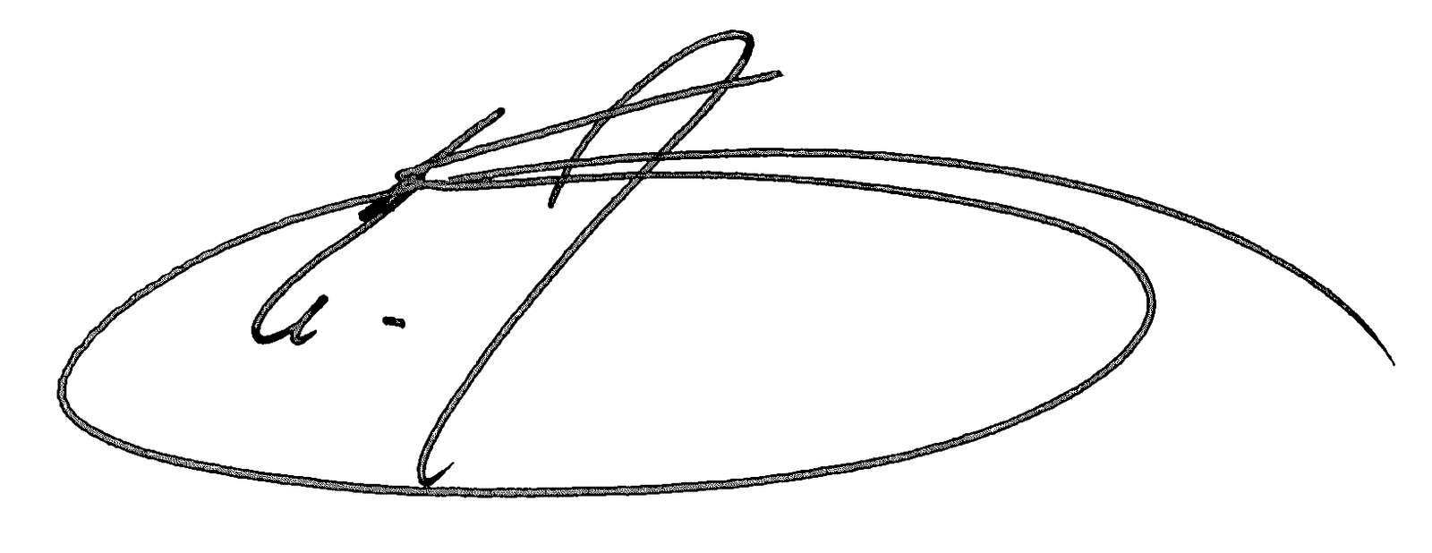 Erik's signature